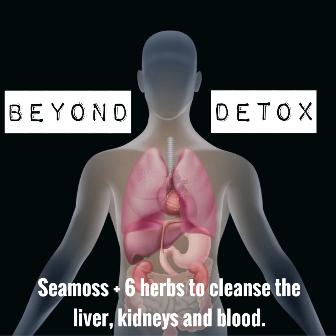 Sea Moss LIVER TOX (Beyond Detox) formula includes Milk Thistle, Ginger, Lemon, Mint and a pinch of Cayenne Pepper (for absorption) (16oz) * (Use code SOCIAL10 for an extra 10% off!)
