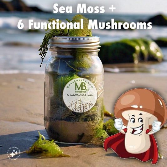 (NEW!) MEGA MUSHROOM MOSS: Sea Moss Gel + 6 of the main Functional Mushrooms. Plain or with Organic Fruit.