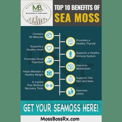 Sea Moss Advanced Organic Capsules  + Burdock Root and Bladderwrack - 30 Vegan Caps, 1000mg each, 1 Month Supply. 🌟 (Use code SOCIAL35 for an extra $5 off. Capsules only, limited).